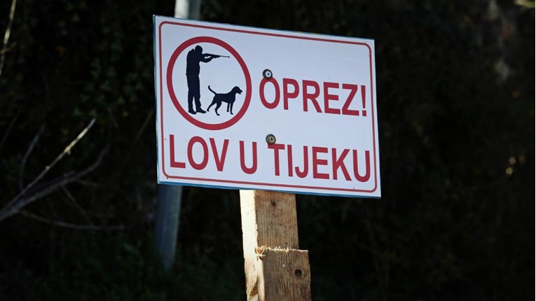 Kuda idu divlje svinje? - Odstrel u Tisnom